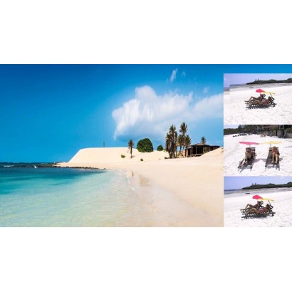 HOLLY DOMETIC TropiCool TCX 14 Kühlbox