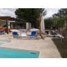 HOLLY DUO-MASTERHOLDER mount with UV-PROTECTION FAN SHADOWS, color jeans, for loungers, chairs, tables, balconies